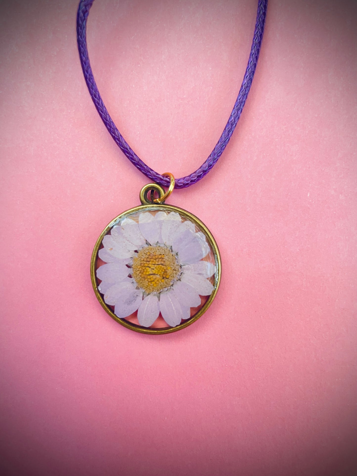 Daisies